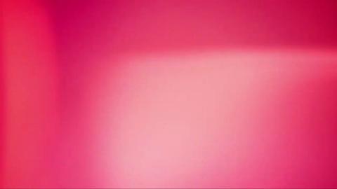 729
