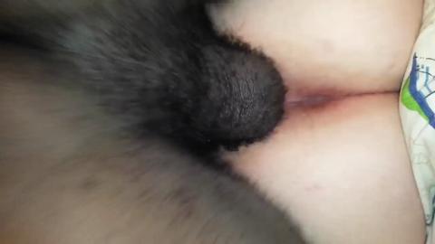 11527