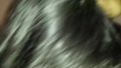 30448
