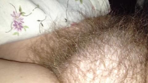 7384