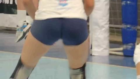 1231